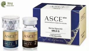 exosome hcm bongbeauty