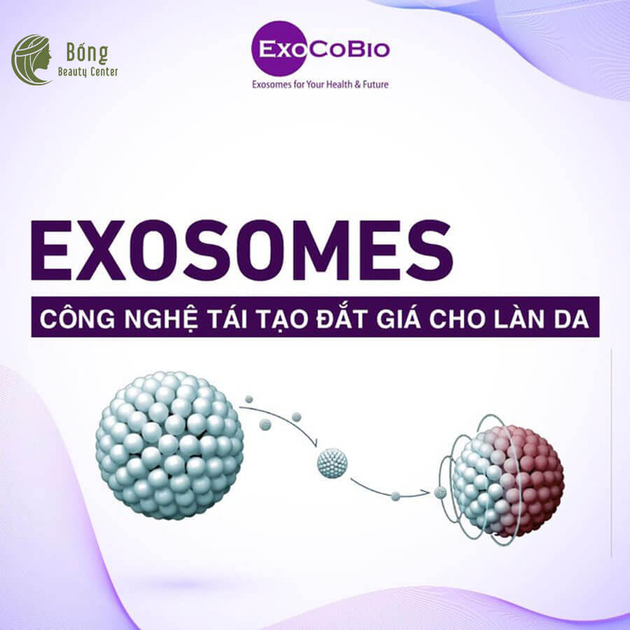 exosome hcm bongbeauty