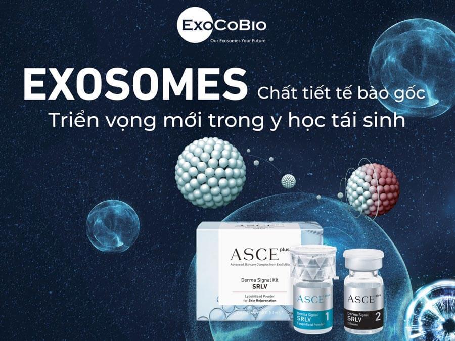 exosome hcm bongbeauty